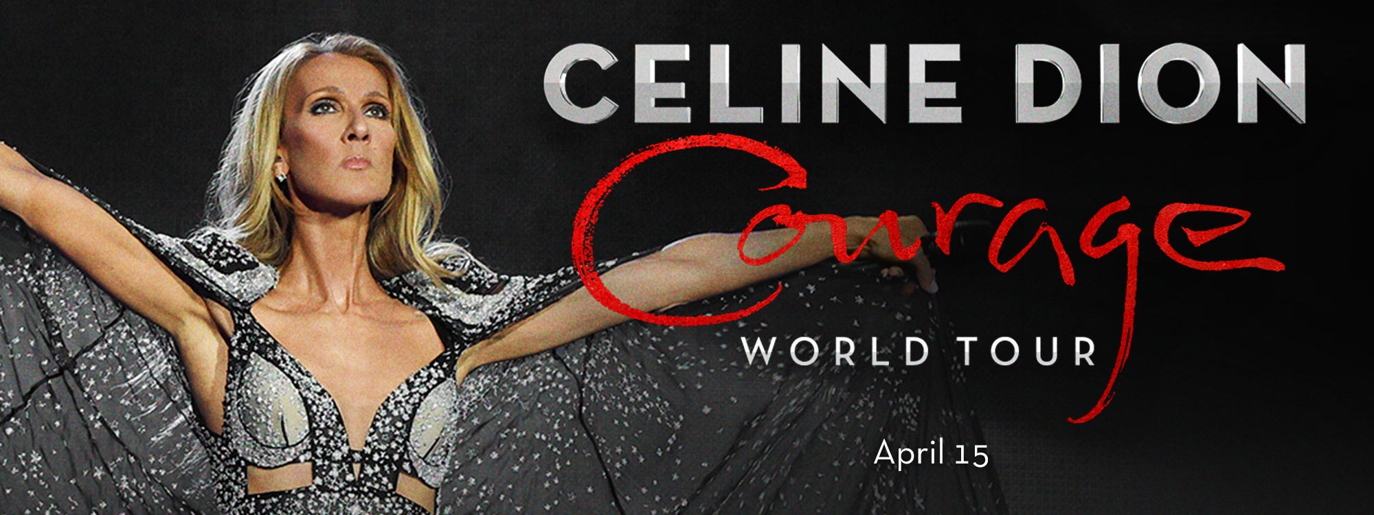 Celine Dion On Tour 2020